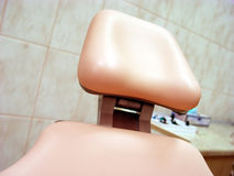 Teeth Are Interesting – Let's Look At the Facts
