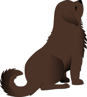 Care For My Dogs