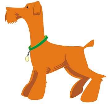 Training About Dog Containment