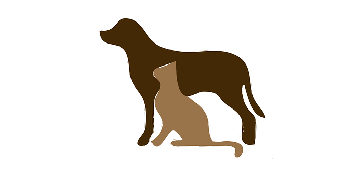 Dog Boutique For All Your Doggy Desires