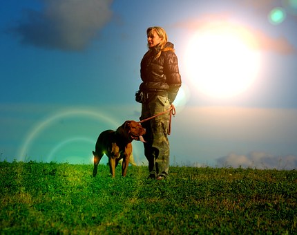 Star Wars Dog Apparel - 3 Wild Halloween Dog Outfit Pointers