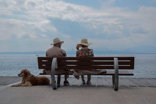 Looking After Your Dog