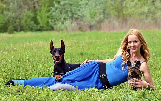 How To Choose The Ideal Dog For You