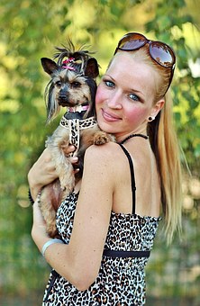The 5 Best Ways To Stop A Dog Chewing