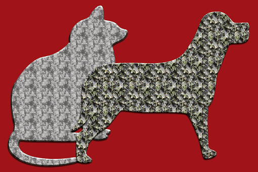 Tips On How To Potty Train A Puppy-top No.1 Secret Of Dog Training!