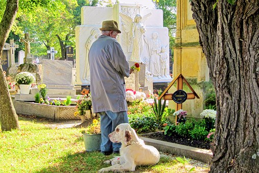 What Kind Of Dog Allergies Treatment Options Are There?