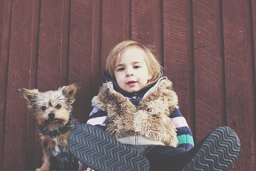 Top 6 Big Dog Breeds