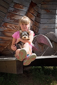 Dog Skin Allergies Are Awful