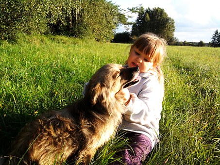 How To Pick Out The Perfect Dog Gift