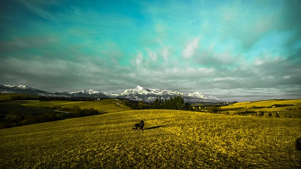 E-mini Trading: Leverage, The Dog That Bites
