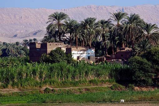 Day Trip To Egyptian Pyramids From Port Said