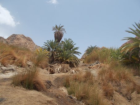 Sharm El Sheikh Travel Package With Cairo, Petra And Nile Cruise Holidays