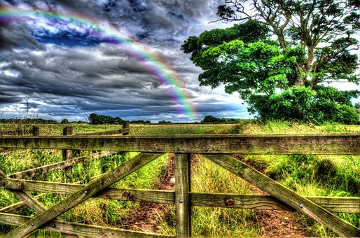 Useful London Excursion Info Concerning Getting The Best Rates, Picking, Plus Reserving Hotels Plus