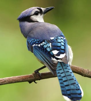 Using Social Media For B2b Success The Right & Wrong Way