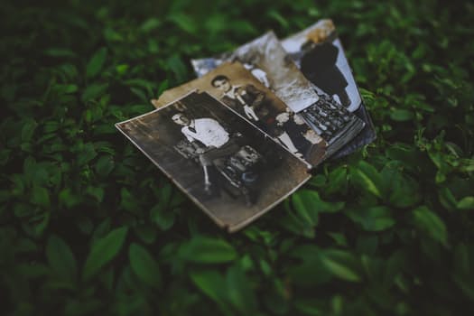 Learn How Shade Covers Can Save Your Business Money