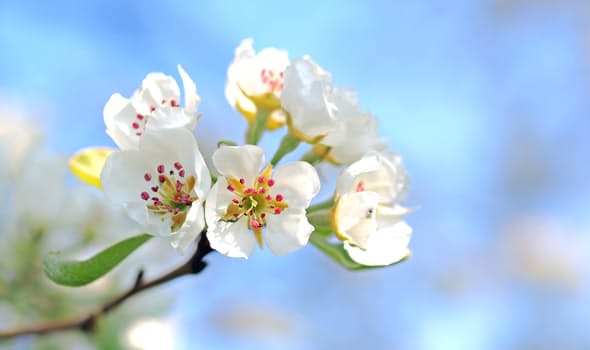 The value of a freelance writer to the small or medium business