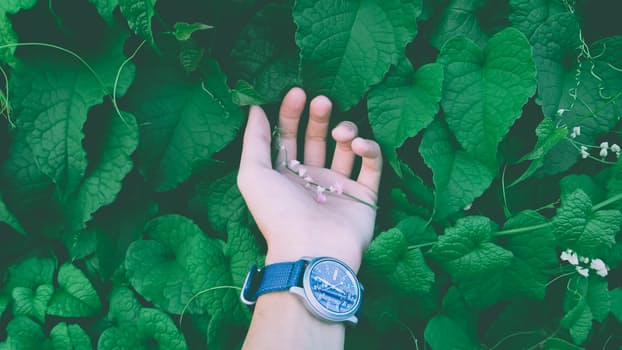 How Remote Console Management Can Grow Your Business