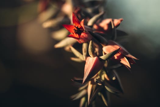 Have You Ever Lost A Web Business Prospect Over Bad Follow Up?