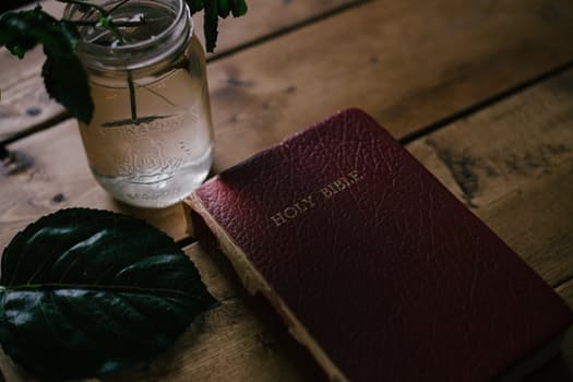 Align Your Business With Your Values