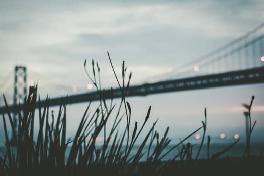 Starting a Business? The Ten Essential Skills For Business Success