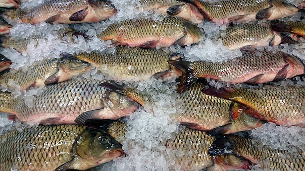 7 Things You MUST Have For Global Warming Survival