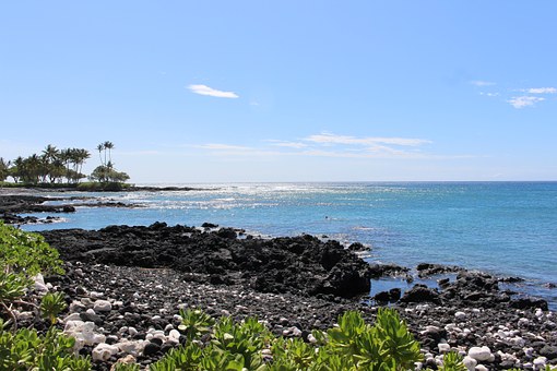 Honolulu Festival