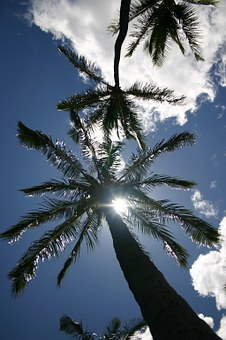 Discover And Learn The Best Tips To Travel By Air Saving Good Money And Being Pleased By Wonderful Spots