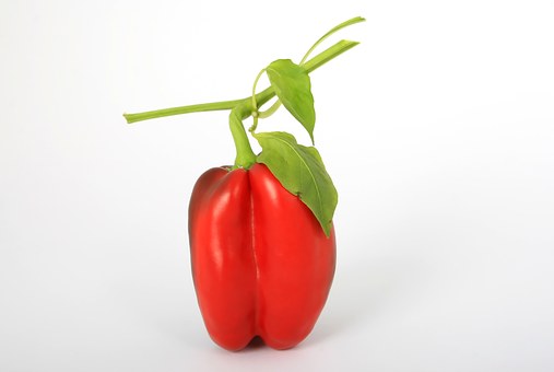 Health Insurance Advantages