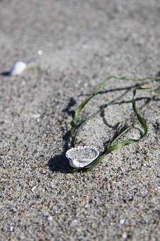 Three Good Reasons For Not Giving A Damn About Climate Change