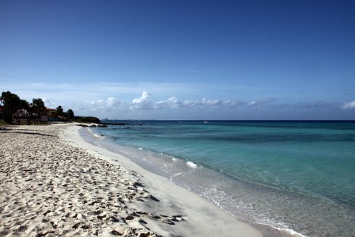 Paradise With 2:100 To Reproduce The Strength Of The National Battle Of Julu