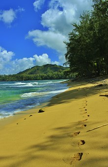 A Last Minute Travel Checklist