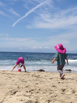 Eight Easy Tips For Taking Your Pet On Vacation by:Nigel G. Worrall