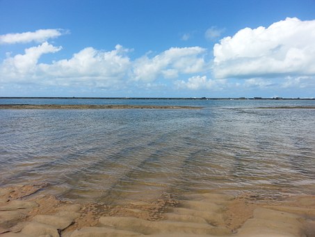 Affordable Vacation Ideas for Families by:Janet Sanders
