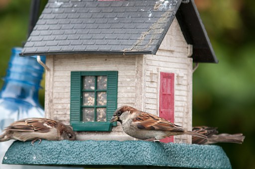 Check Out These Important Tips Before Availing Mortgage Refinance!