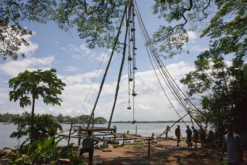 India's Wildlife Preserves And National Parks.