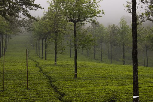 Places To Visit In Rajasthan My Favorite Places Of Rajasthan