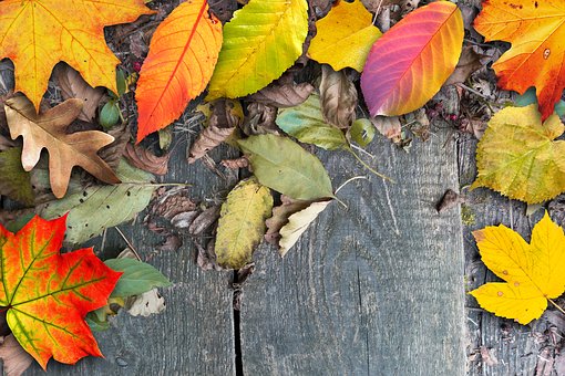 IF- The Wonders of Investing by:Kemberly Wardlaw