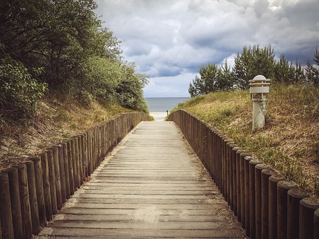 Finding Your True North by:John Assaraf