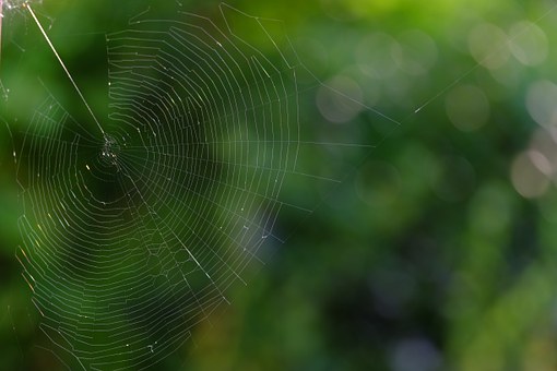 Things To Remember While Hiring PPC Consultants