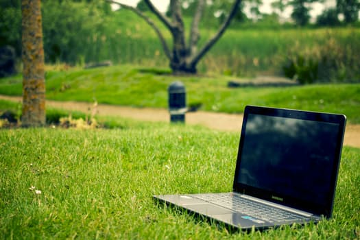 Appropriate Principles In Internet Web Site Promotion