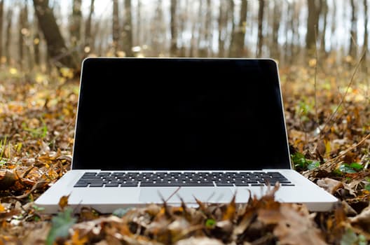 Business Laws: What you Need to Know by:Matt Bacak