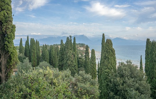 Discover Florence, Italy Bed And Breakfast For A Romantic And Affordable Trip by:Amy Wells