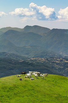 Enjoyrometours Travel &italy