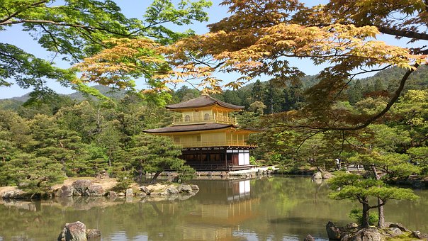 Useful Basic Japanese Phrases For Travelers