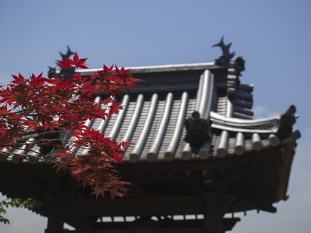 Travel Forbiddens for Tourists When Visiting These Countries