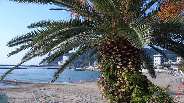 Turkey Holidays About The Mediterranean Riviera