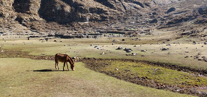 Holidays At Nepal Himalaya