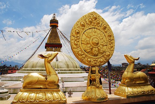 Wildlife Tour And Adventure Gaming In Nepal
