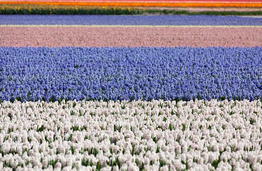 Best Hotels in Brussels for your holidays!
