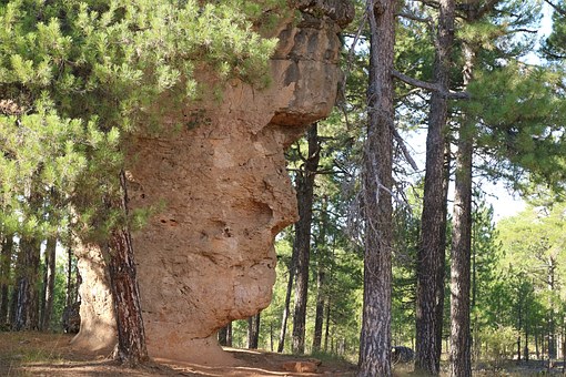 Asturias Travel: A Bicycling Adventure On The Bear Trail